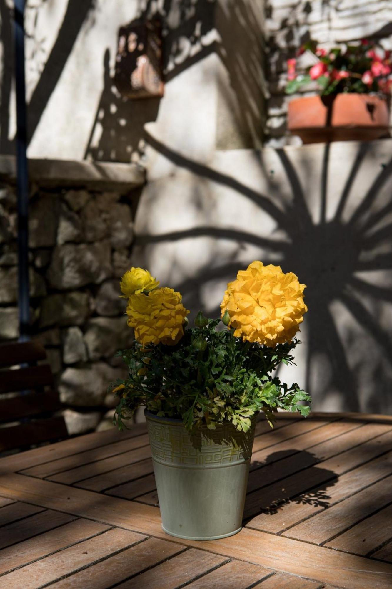 In Provence Hotel - Experience Atypique 沃内勒 外观 照片